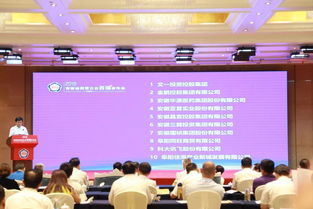 一朝雙喜 再啟華章 金鵬控股集團榮膺安徽省民營企業綜合實力5強 服務業第2位