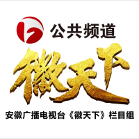 合肥市滁州商會換屆大會召開 金鵬控股集團董事長孫元武當選會長