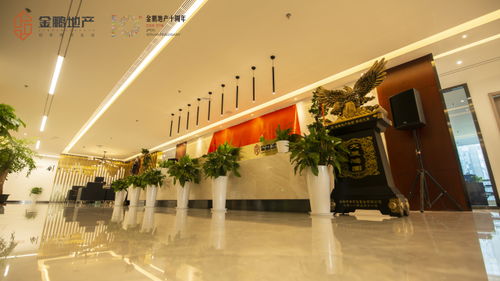 鵬程之志立此廬州 金鵬地產集團5月11日正式遷址合肥