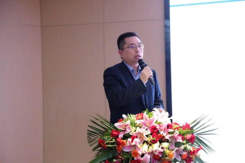 正是揚帆搏浪時 金鵬地產集團2020年度工作會議圓滿召開