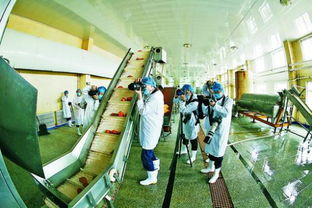 內(nèi)蒙古 烏蘭浩特市 紅都網(wǎng)