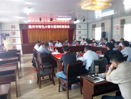 金鵬控股集團(tuán)董事長一行參加滁州市特色小鎮(zhèn)專題調(diào)研會(huì)