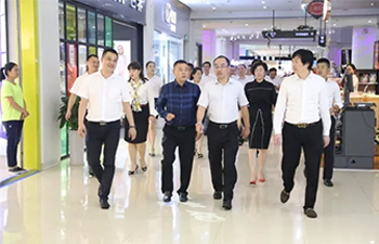 徐州市豐縣領(lǐng)導(dǎo)一行蒞臨金鵬控股集團考察調(diào)研，共話合作發(fā)展新機遇